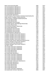 Seite 1207 – rodungen_konvertiert
