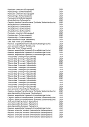 Seite 1007 – pflanzungen_konvertiert