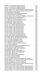 Seite 1015 – pflanzungen_konvertiert