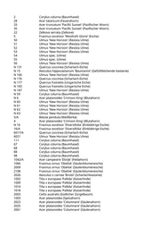 Seite 126 – pflanzungen_konvertiert