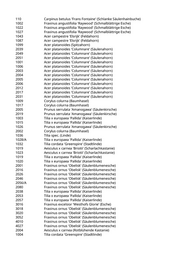 Seite 127 – pflanzungen_konvertiert