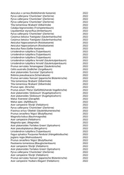 Seite 1306 – pflanzungen_konvertiert