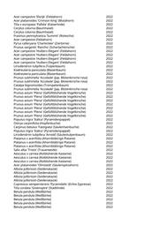 Seite 1311 – pflanzungen_konvertiert