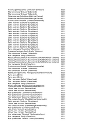 Seite 1323 – pflanzungen_konvertiert