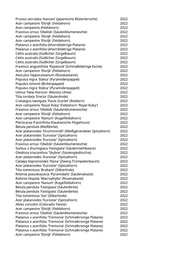 Seite 1349 – pflanzungen_konvertiert