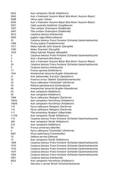 Seite 150 – pflanzungen_konvertiert