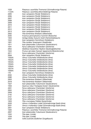 Seite 1559 – pflanzungen_konvertiert