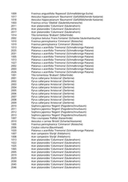 Seite 175 – pflanzungen_konvertiert