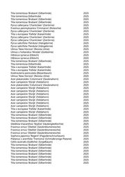 Seite 2219 – pflanzungen_konvertiert