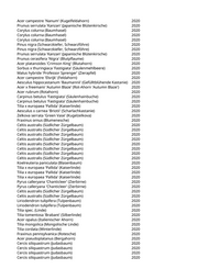Seite 521 – pflanzungen_konvertiert