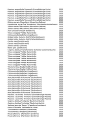 Seite 533 – pflanzungen_konvertiert
