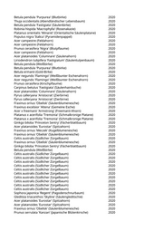 Seite 565 – pflanzungen_konvertiert