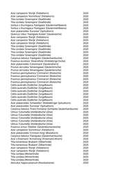 Seite 566 – pflanzungen_konvertiert