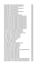 Seite 573 – pflanzungen_konvertiert