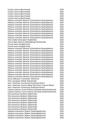 Seite 592 – pflanzungen_konvertiert