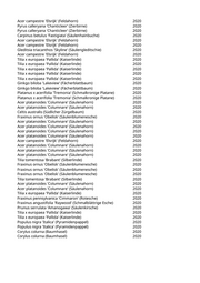Seite 603 – pflanzungen_konvertiert