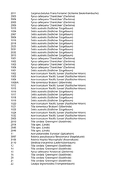 Seite 91 – pflanzungen_konvertiert