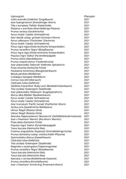 Seite 920 – pflanzungen_konvertiert