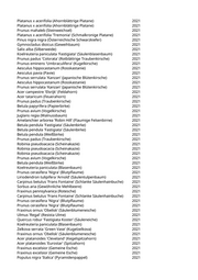 Seite 924 – pflanzungen_konvertiert