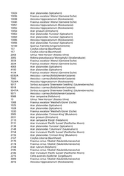 Seite 93 – pflanzungen_konvertiert