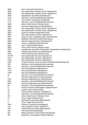 Seite 95 – pflanzungen_konvertiert