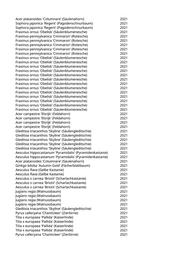 Seite 951 – pflanzungen_konvertiert