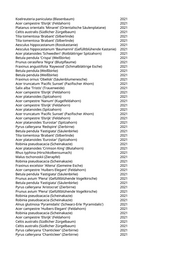 Seite 979 – pflanzungen_konvertiert